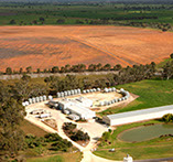 an aerial view of Frances Seeds