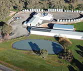 an aerial view of Frances Seeds