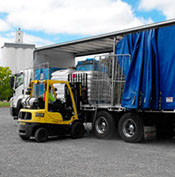 Truck loading at Frances Seeds