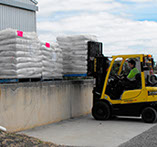 wrapped pallets being loaded with a forklift at Frances seeds