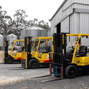 Fork lifts at Frances Seeds